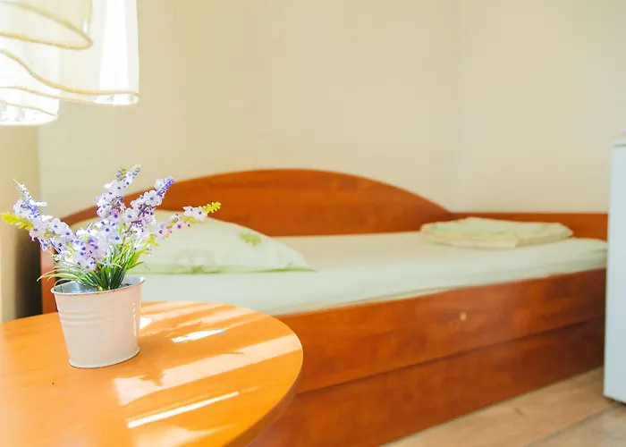 斯帕拉替娜别墅酒店