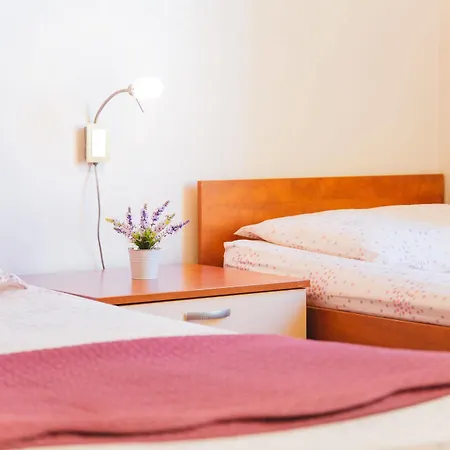 Hotel Spalatina *