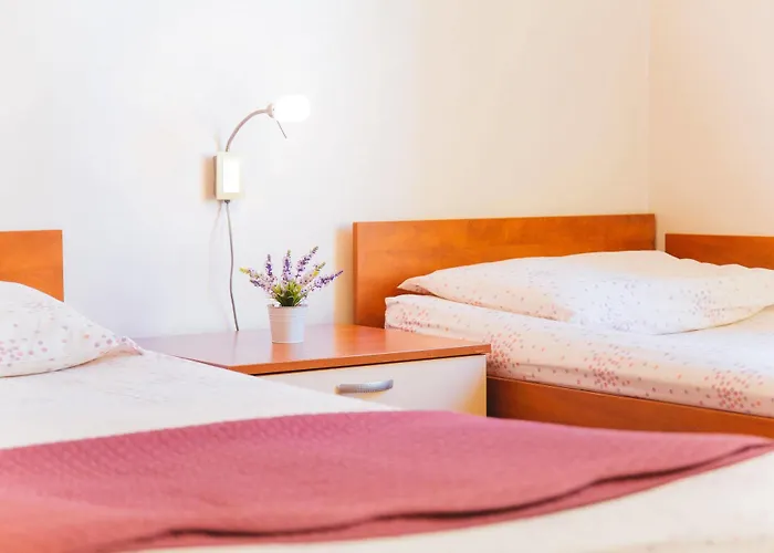 מלון Spalatina *